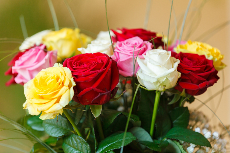 colorful roses bouquet 1467549375Yyd 800x533